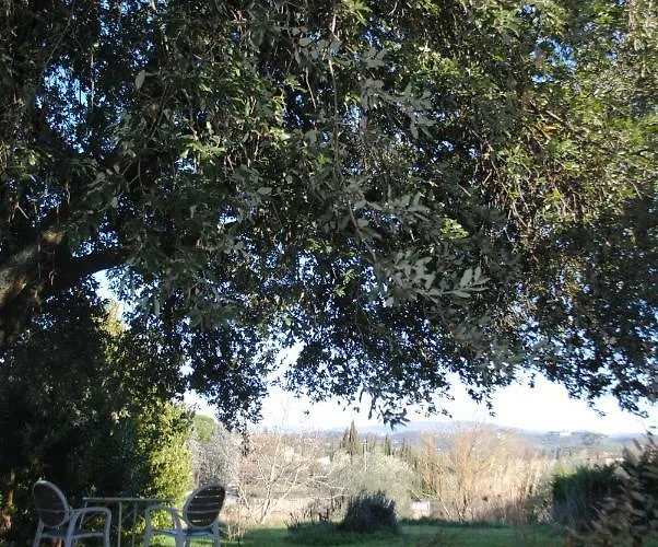 Fattoria Di Malavolta